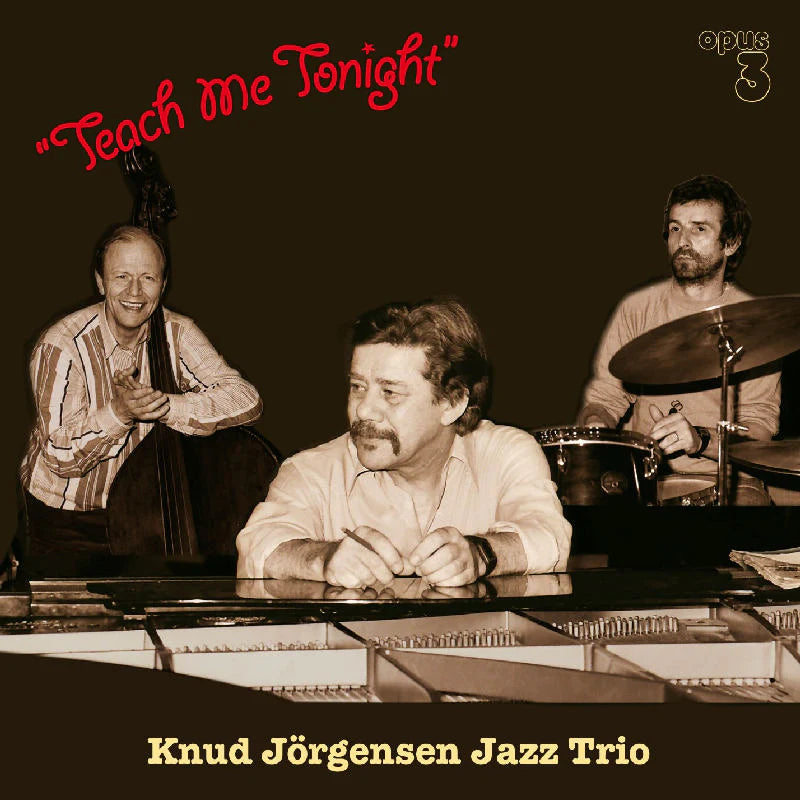 Knud Jorgensen Jazz Trio | Teach Me Tonight
