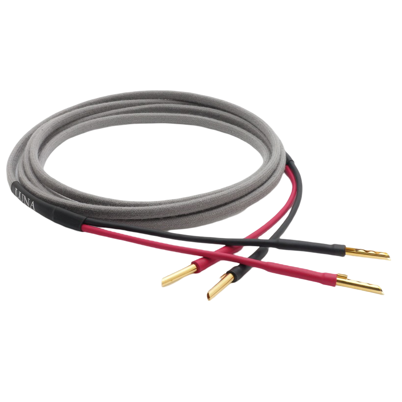 Gris | Câble Haut-Parleur