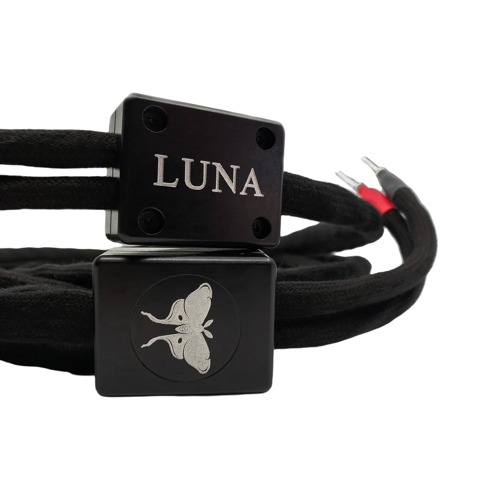 Noir | Câble Haut-Parleur