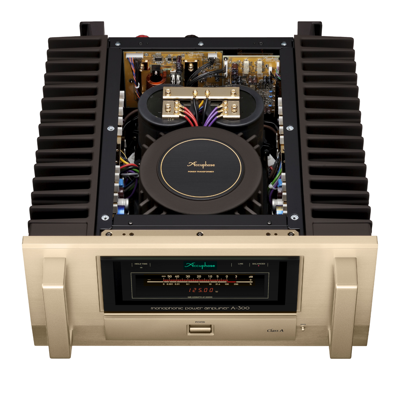 A-300 | Mono Amplifier | Class-A