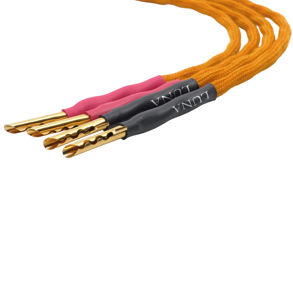 Orange | Jumper Cable