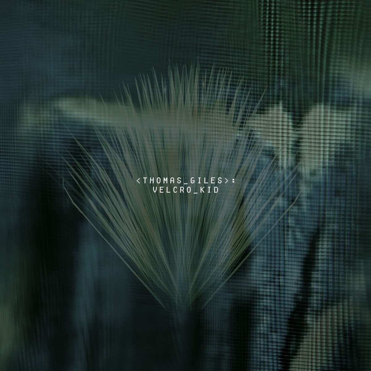 Thomas Giles | Velcro Kid