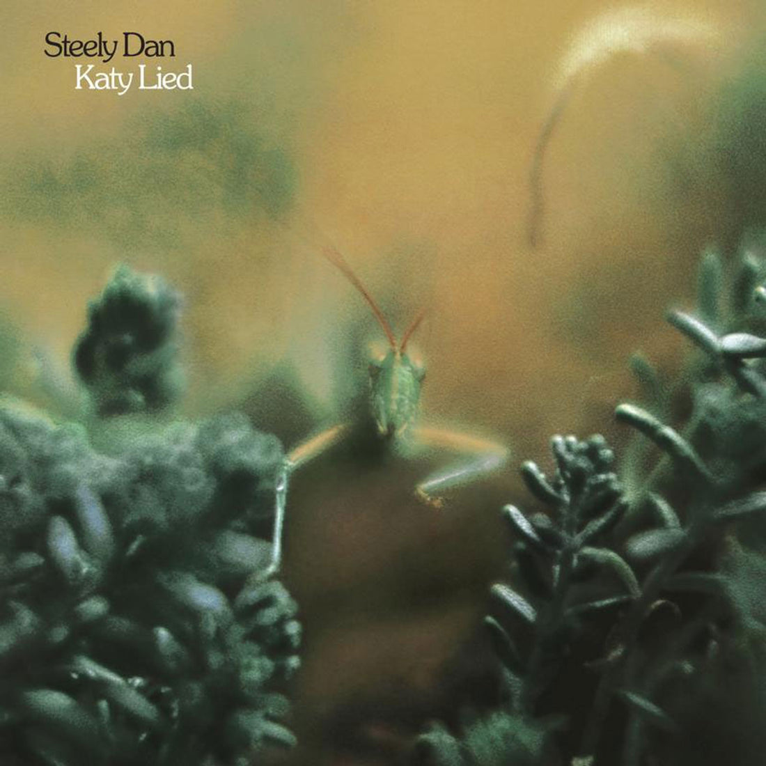 Steely Dan | Katy Lied [SACD]