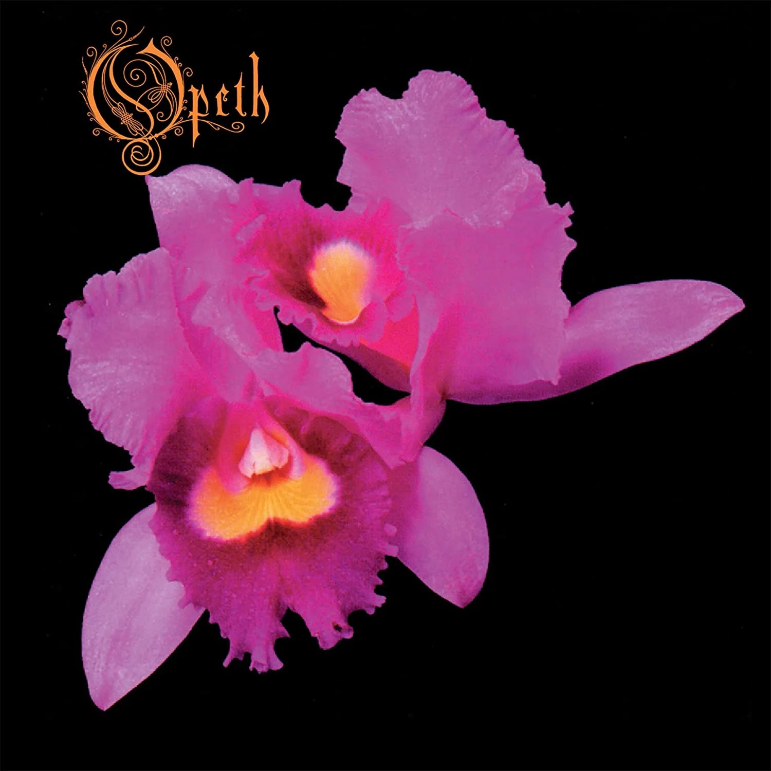 Opeth | Orchid