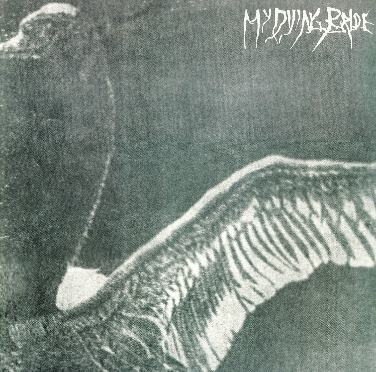 My Dying Bride | Turn Loose The Swans