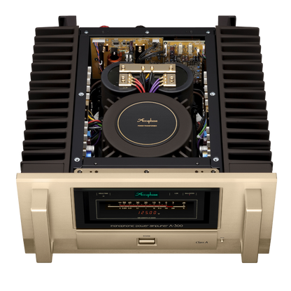 A-300 | Mono Amplifier | Class-A