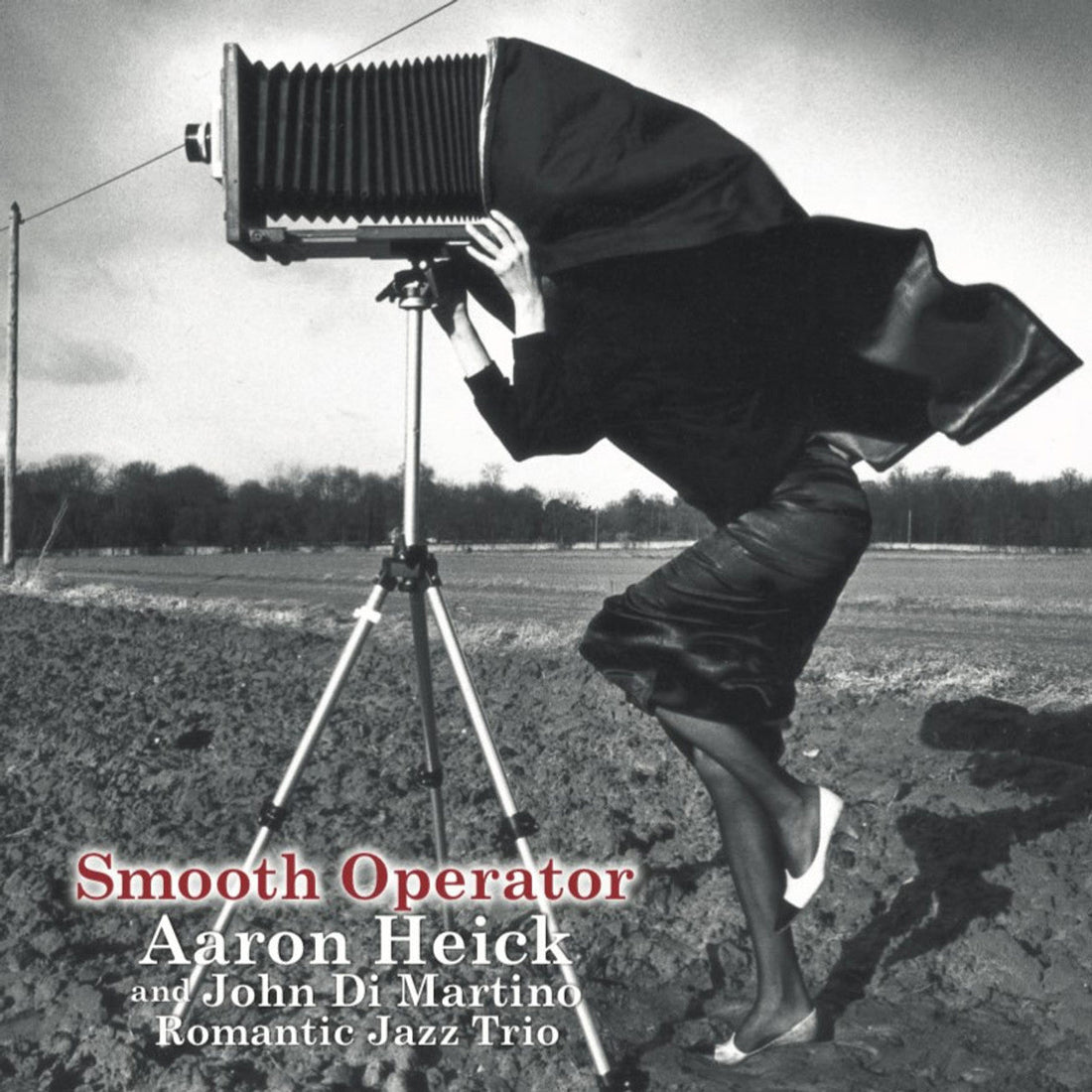 Aaron Heick &amp; John Di Martino Jazz Trio | Smooth Operator