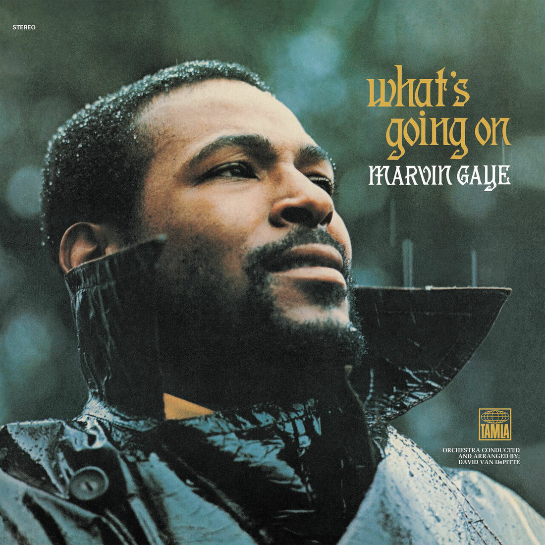 Marvin Gaye | What&