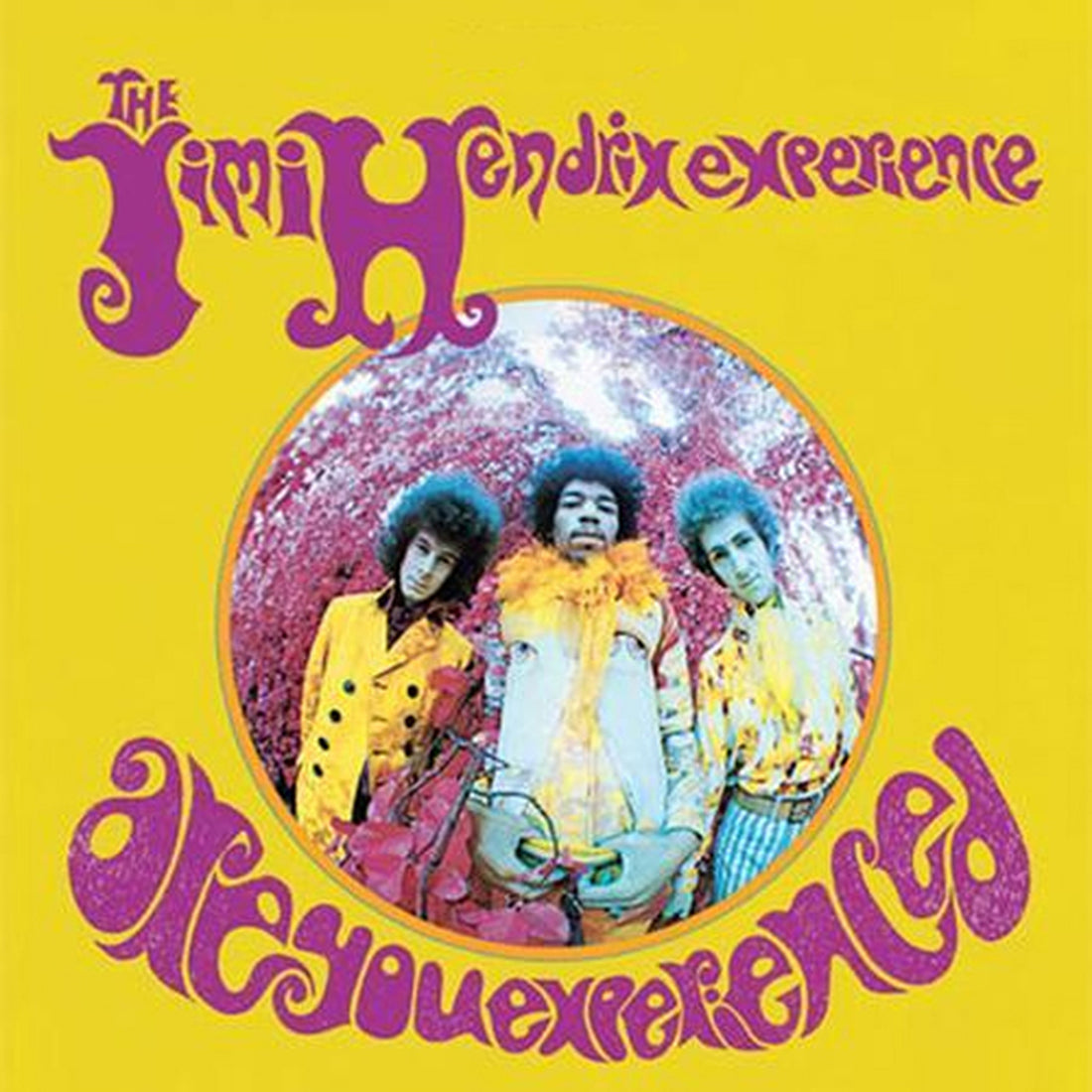 The Jimi Hendrix Experience | Are You Experienced [SACD]