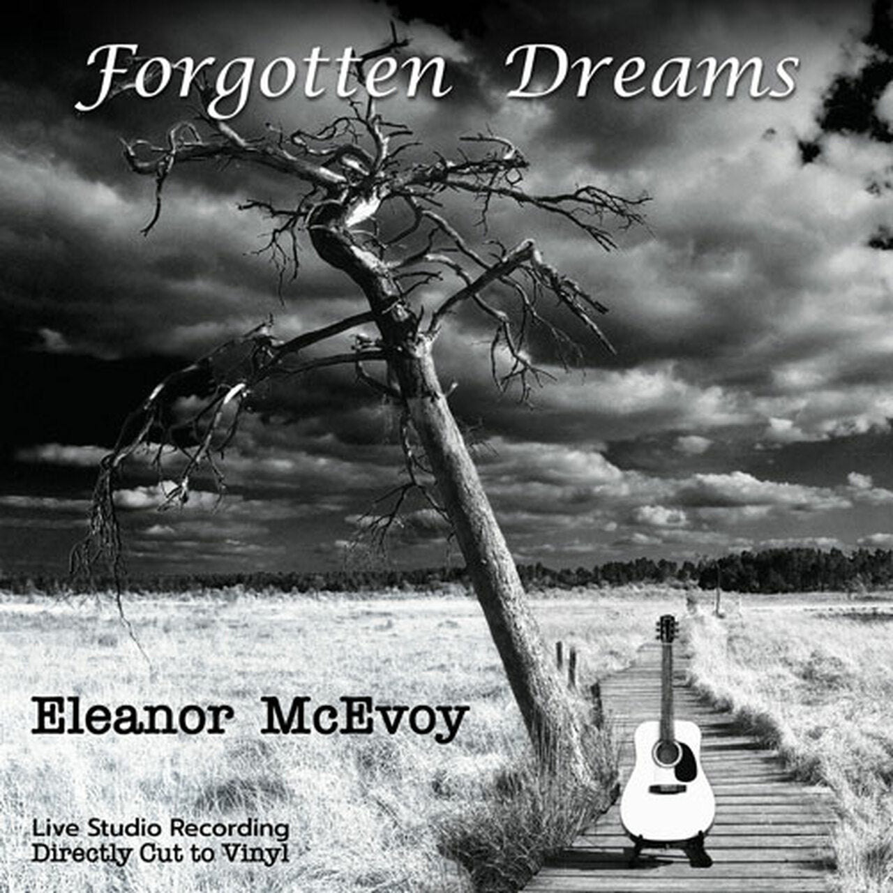 Eleanor McEvoy | Forgotten Dreams